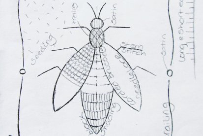 Crathorne Bug - design and colour